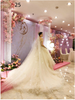 Bridal Wedding Dress Long Tail Luxury Super Fairy Wedding Veil