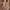 Underwear Tulle Hanging Neck Belly Pocket Hanfu Suit