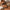 Summer Tube Bikini With Drawstring Design Solid Color Sexy Swimsuit For Beach Party Womens Clothing