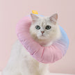 Rainbow Gradient Soft Waterproof Headgear Pet Sterilization Ring