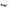 Large Frame Rectangular Sunglasses