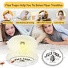 Shell Shape Flea Lamp Pet Household Flea Trap Trapper