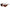 Large Frame Rectangular Sunglasses