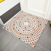 Entry Carpet Household Silk Ring Foot Entry Carpet Door Mat