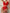 Sexy Underwear Sexy Women Lace Mesh Hollow Suit