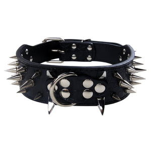 Leather dog with black spikes in a large dog collar