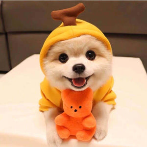 Fruit Dog Clothes Two-legged Hooded Outfits Green Fleece Clothing Autumn Winter Hoodies