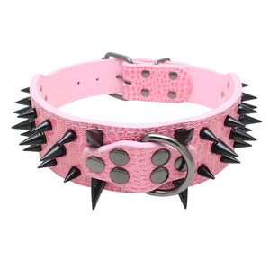 Leather dog with black spikes in a large dog collar