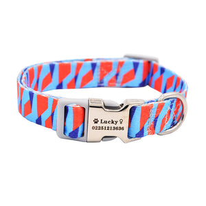 Custom dog collar