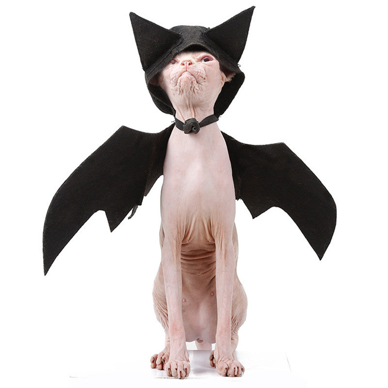 Halloween pet bat wings