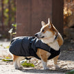 Waterproof dog raincoat