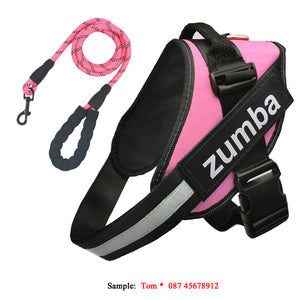 Personalized Reflective Breathable Adjustable Dog Harness and Leash Set