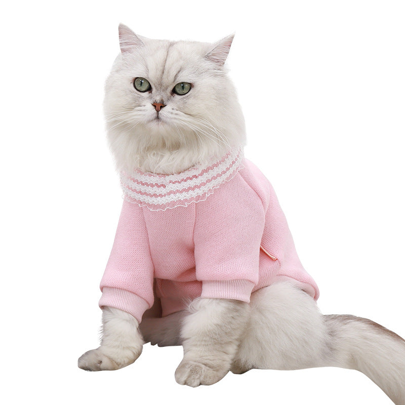 Cat casual clothes