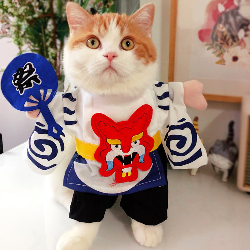 Cat funny outfit