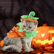 Halloween Pet Cats Costume Props Creative Pumpkin Shape Green Leaf Decoration Cosplay Clothing Holiday Garment Supplies