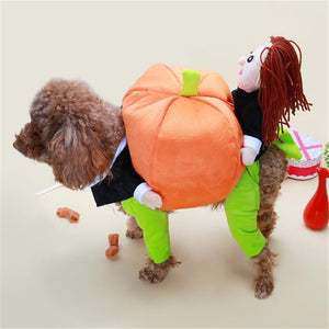 Pet Cute Pumpkin Decorations for Dog Clothes dress up