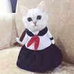 Cat funny outfit