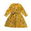 Explosive Kids Korean Printed Long Sleeve Children's Princess Dress