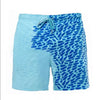 Magical Change Color Beach Shorts Summer Men Swimming Trunks Swimwear Swimsuit Quick Dry bathing shorts Beach Pant