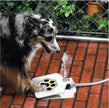 Pet Peddling Water dogs Outdoor Automatic Water Feeder