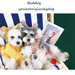 Dog Clothes Summer Thin Small Dog Dress Pet Clothes