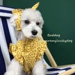 Dog Clothes Summer Thin Small Dog Dress Pet Clothes