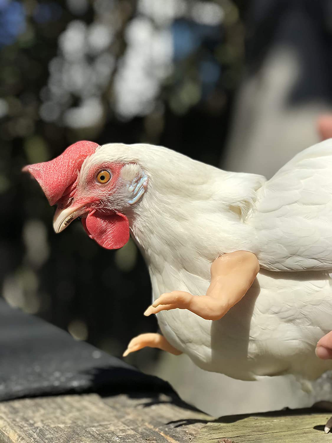 Creative Spoof Pet Props Chicken Arm