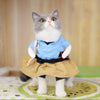 Cat funny outfit