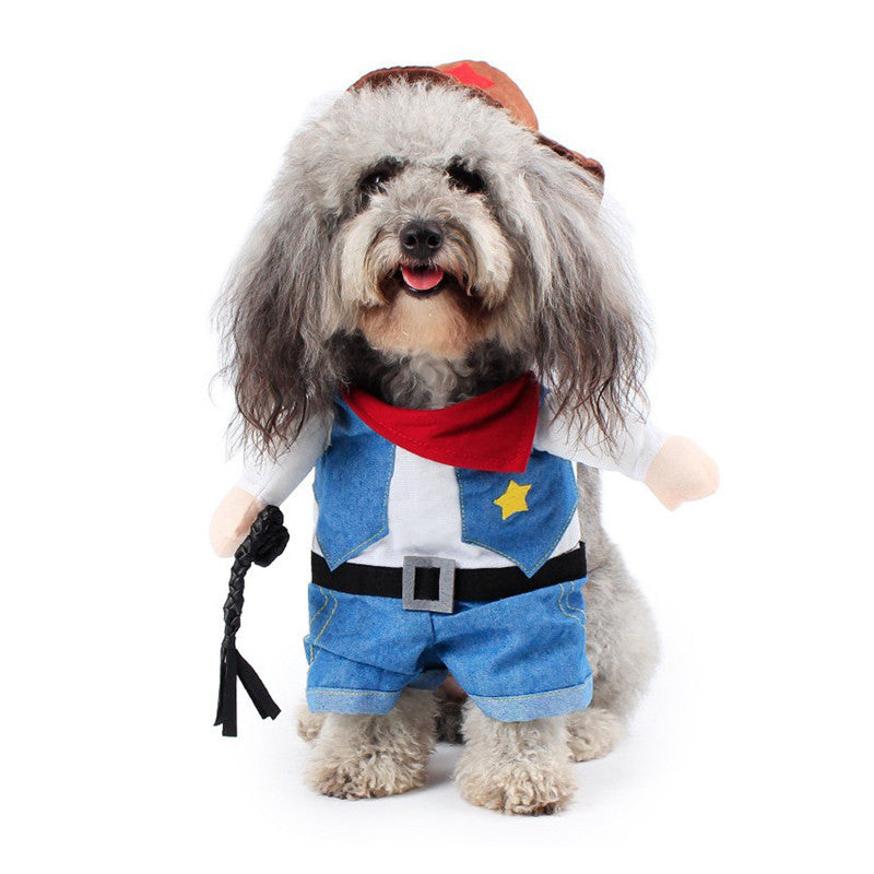 Funny pet clothes