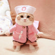 Cat funny outfit