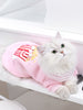 Cat casual clothes