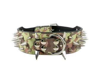 Leather dog with black spikes in a large dog collar