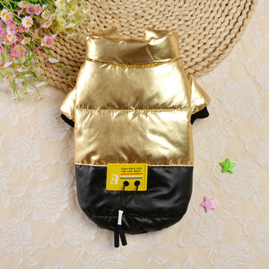 Bright leather coat warm dog clothing