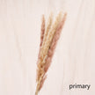 Reed dried flower home decoration