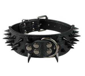 Leather dog with black spikes in a large dog collar