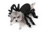 Hot Pet Spider Clothes Puppy Cat Terror Simulation Plush Spider Transforms Party Dress Up