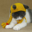 Cat scorpion cap