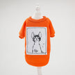 Cute funny spring cat clothes cat autumn clothes