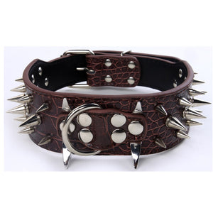 Leather dog with black spikes in a large dog collar