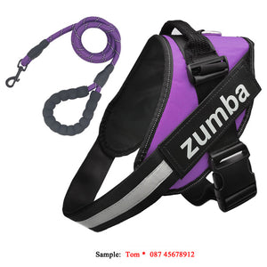 Personalized Reflective Breathable Adjustable Dog Harness and Leash Set