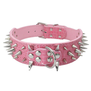 Leather dog with black spikes in a large dog collar