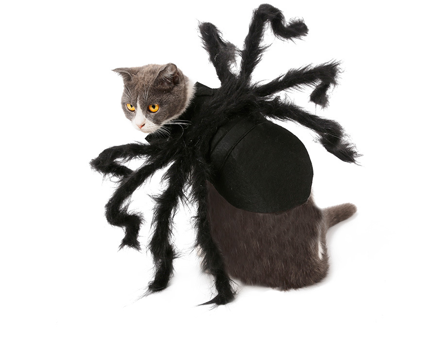 Hot Pet Spider Clothes Puppy Cat Terror Simulation Plush Spider Transforms Party Dress Up