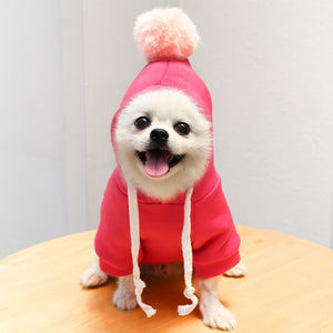 Fruit Dog Clothes Two-legged Hooded Outfits Green Fleece Clothing Autumn Winter Hoodies