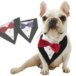 Dog Triangle Bandana Cat Saliva Towel Pet Accessories