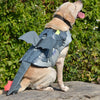 Flying Dragon Cosplay Dog Swimsuit