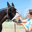 Anti-mosquito Anti-flying Horse Face Mask