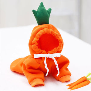 Fruit Dog Clothes Two-legged Hooded Outfits Green Fleece Clothing Autumn Winter Hoodies