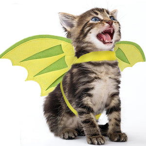 Alpscommerce cat  Pet Dinosaur Wings Makeover