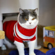 Christmas Cat Dog Sweater Pullover Winter Clothes