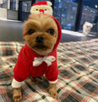 Pet Sports Fashion Christmas Day Clothing